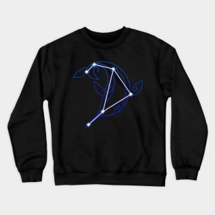 Monoceros Caeli Constellation Crewneck Sweatshirt